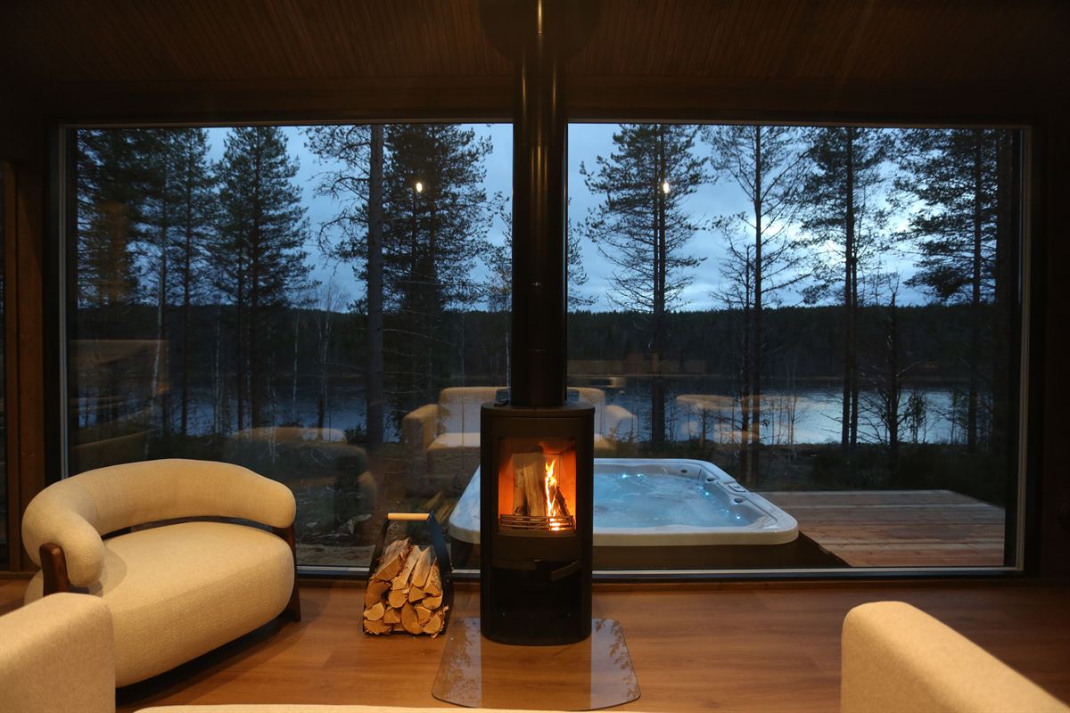 Living room, fireplace and the river view